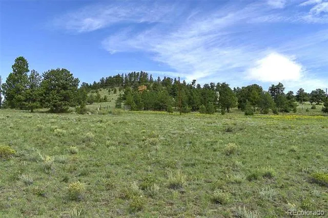 32 Peak Drive Guffey, CO 80820