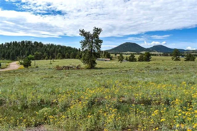 32 Peak Drive Guffey, CO 80820