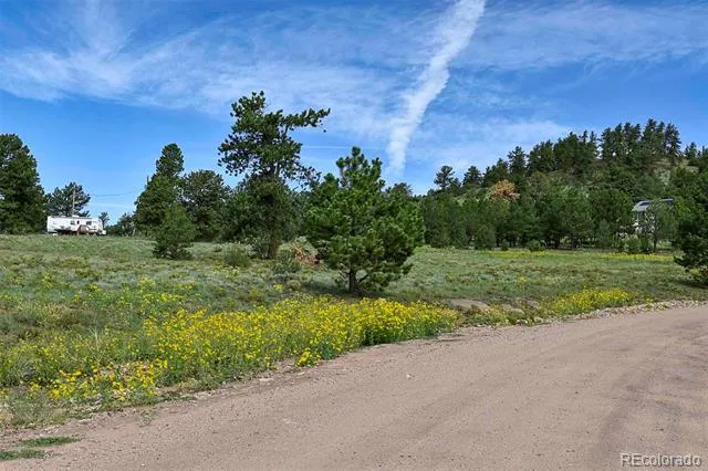 32 Peak Drive Guffey, CO 80820