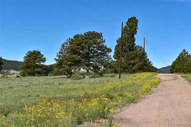 32 Peak Drive Guffey, CO 80820