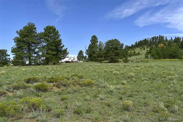 32 Peak Drive Guffey, CO 80820