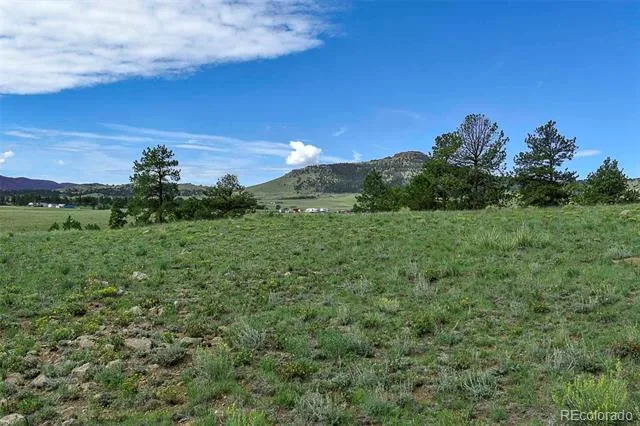 32 Peak Drive Guffey, CO 80820