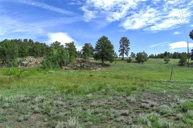 32 Peak Drive Guffey, CO 80820