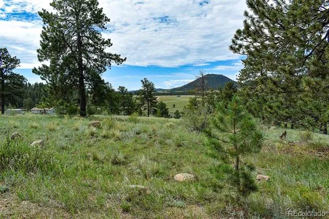 32 Peak Drive Guffey, CO 80820