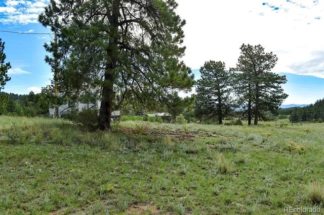 32 Peak Drive Guffey, CO 80820