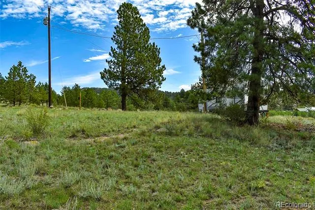 32 Peak Drive Guffey, CO 80820
