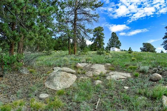 32 Peak Drive Guffey, CO 80820