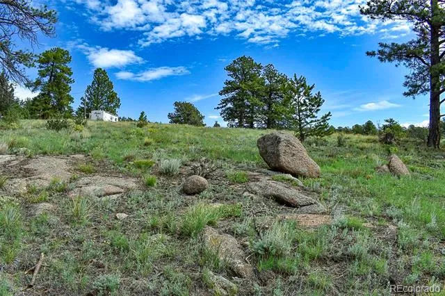 32 Peak Drive Guffey, CO 80820