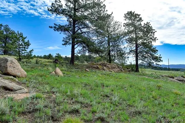32 Peak Drive Guffey, CO 80820