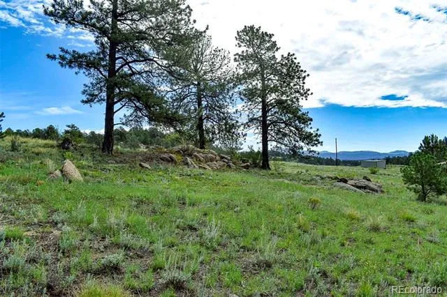 32 Peak Drive Guffey, CO 80820