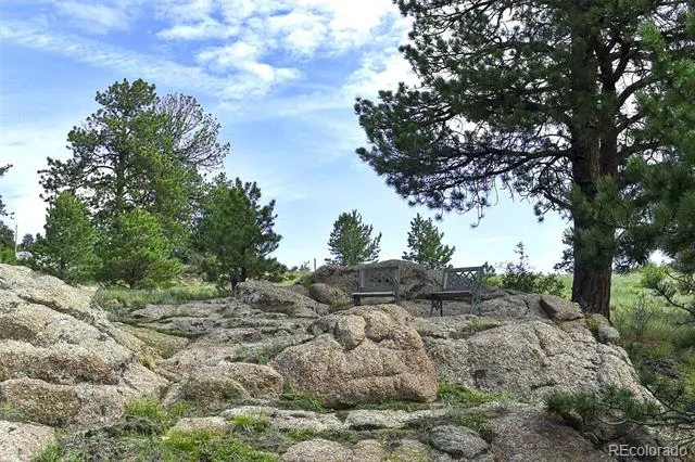 32 Peak Drive Guffey, CO 80820