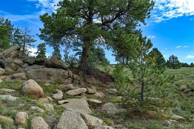 32 Peak Drive Guffey, CO 80820