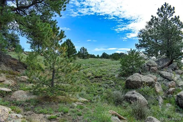 32 Peak Drive Guffey, CO 80820