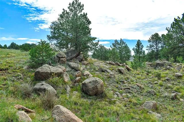 32 Peak Drive Guffey, CO 80820