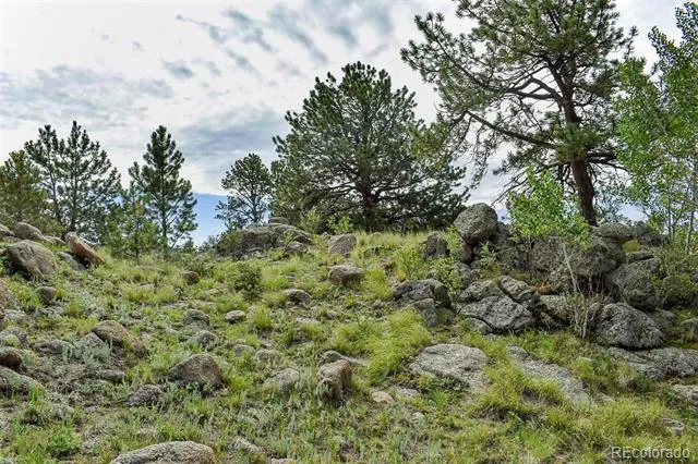 32 Peak Drive Guffey, CO 80820