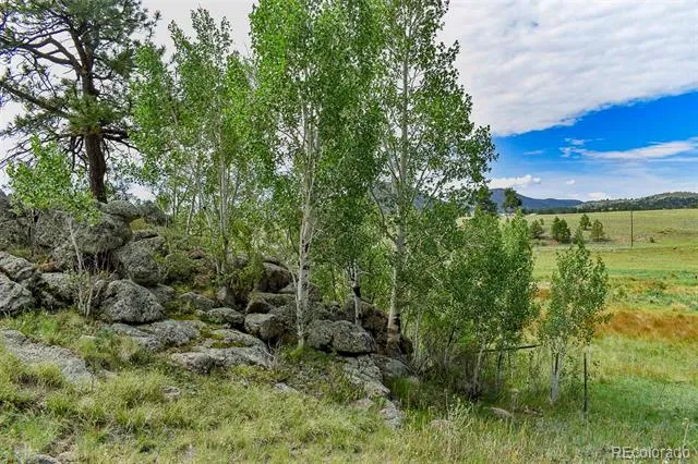 32 Peak Drive Guffey, CO 80820