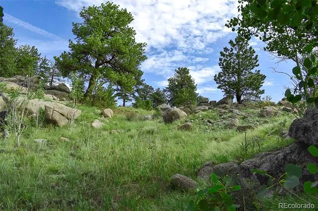 32 Peak Drive Guffey, CO 80820