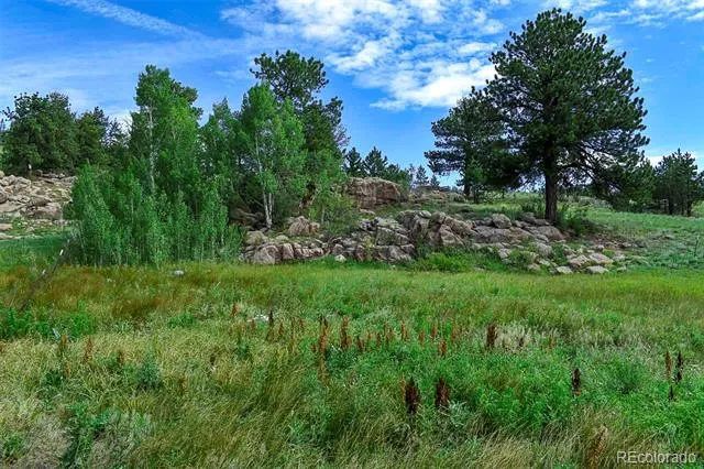 32 Peak Drive Guffey, CO 80820