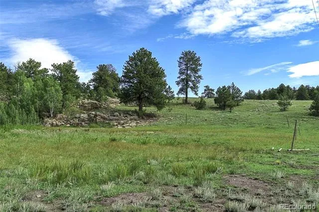 32 Peak Drive Guffey, CO 80820