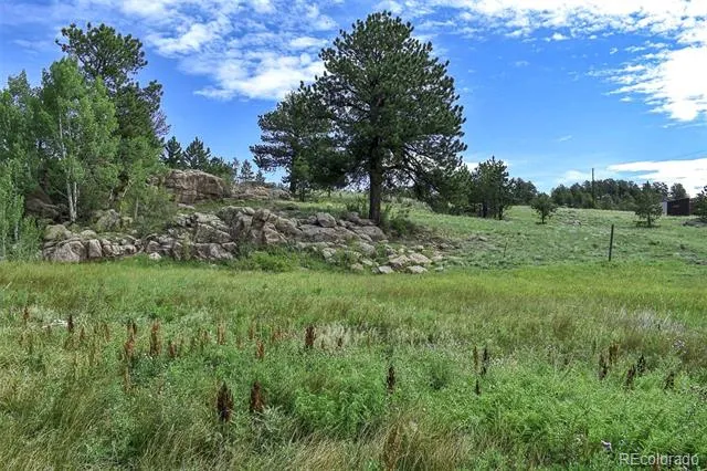 32 Peak Drive Guffey, CO 80820