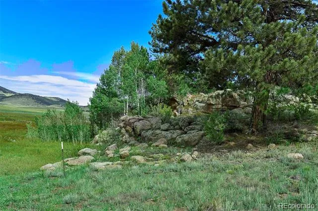 32 Peak Drive Guffey, CO 80820