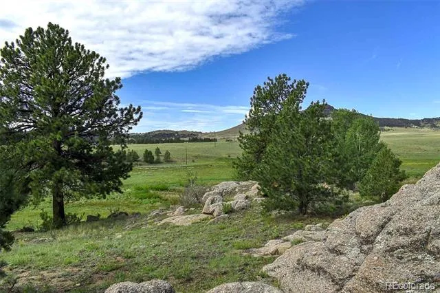 32 Peak Drive Guffey, CO 80820