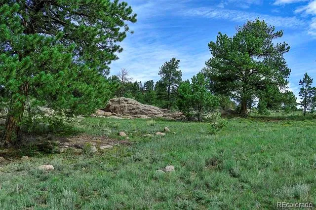 32 Peak Drive Guffey, CO 80820