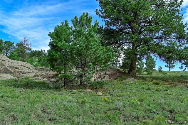 32 Peak Drive Guffey, CO 80820