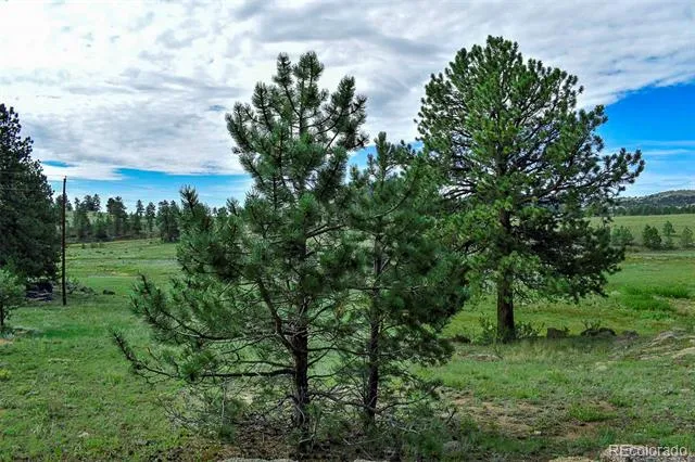 32 Peak Drive Guffey, CO 80820
