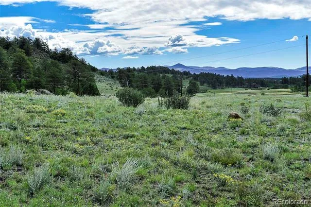 32 Peak Drive Guffey, CO 80820
