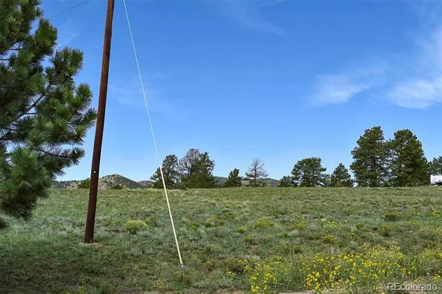 32 Peak Drive Guffey, CO 80820