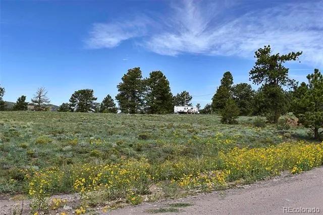 32 Peak Drive Guffey, CO 80820