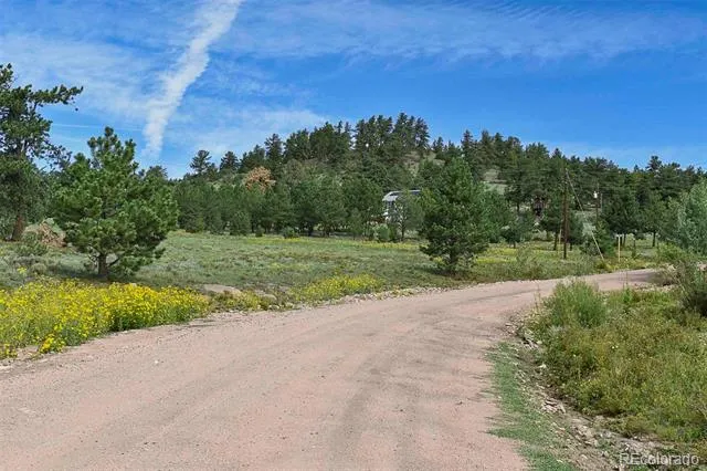 32 Peak Drive Guffey, CO 80820