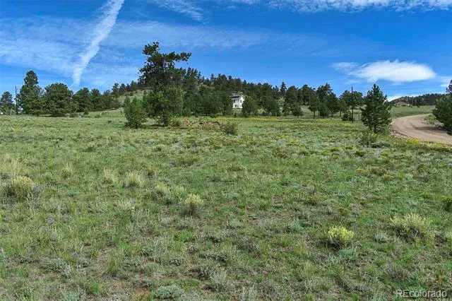 32 Peak Drive Guffey, CO 80820