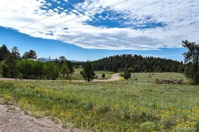 32 Peak Drive Guffey, CO 80820