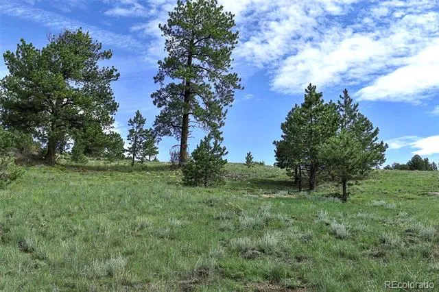32 Peak Drive Guffey, CO 80820