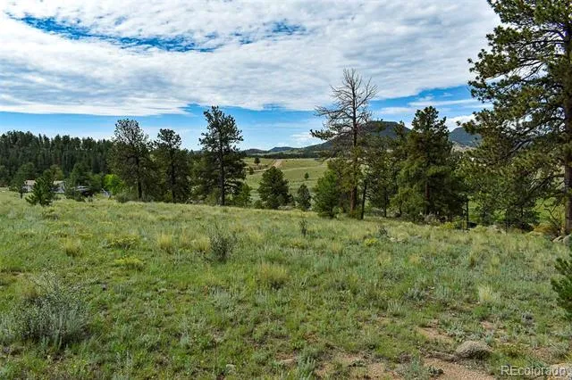 32 Peak Drive Guffey, CO 80820