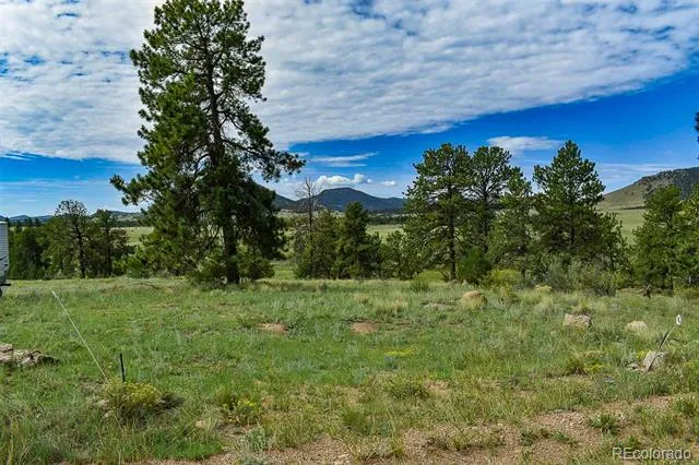 32 Peak Drive Guffey, CO 80820