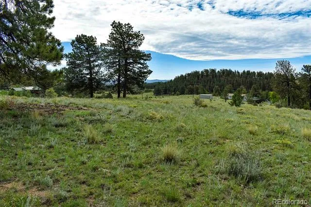 32 Peak Drive Guffey, CO 80820