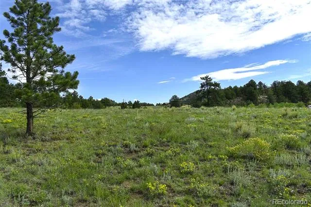 32 Peak Drive Guffey, CO 80820