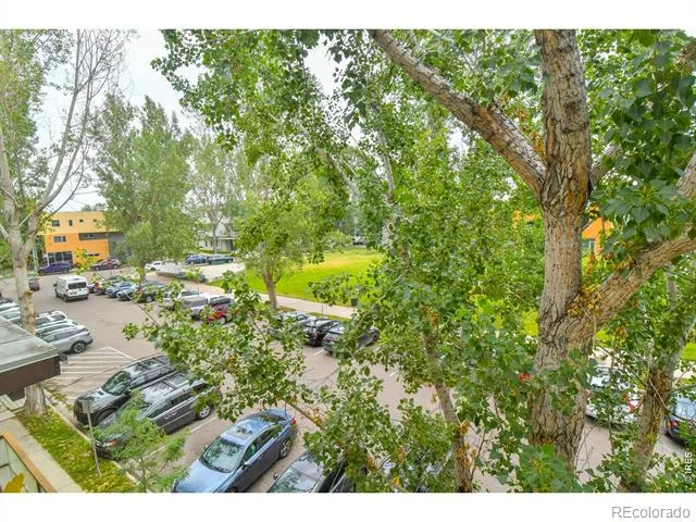 2017 100 Year Party Court #3 Longmont, CO 80504