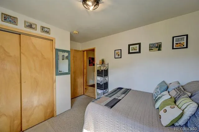 33733 County Road 373a Buena Vista, CO 81211