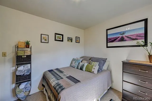 33733 County Road 373a Buena Vista, CO 81211