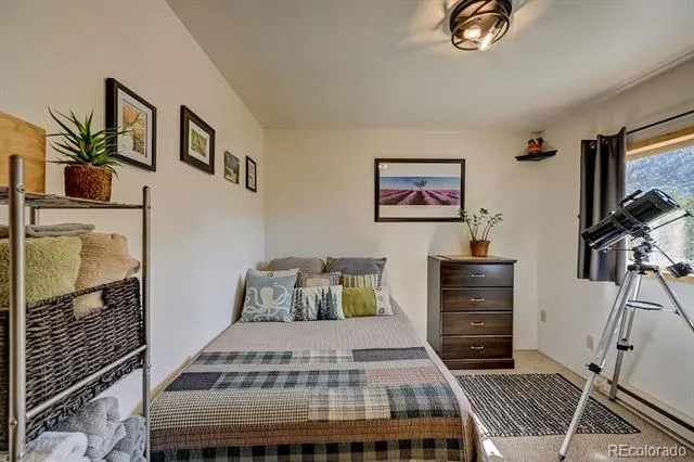 33733 County Road 373a Buena Vista, CO 81211
