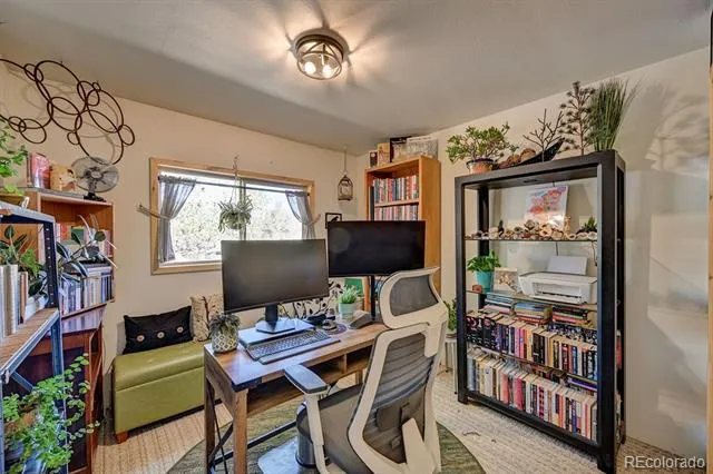 33733 County Road 373a Buena Vista, CO 81211