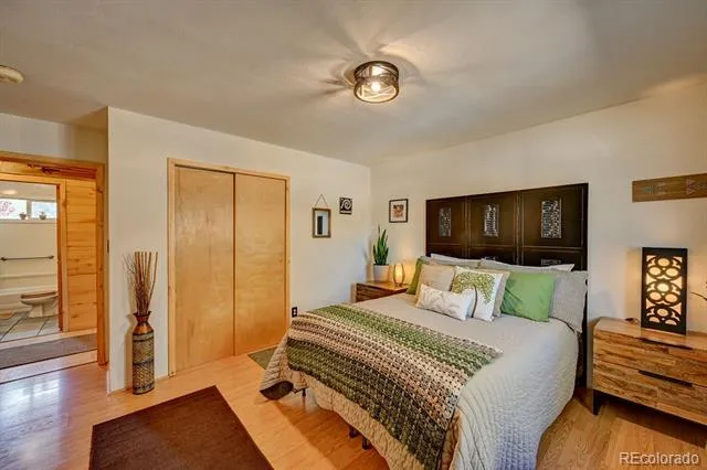 33733 County Road 373a Buena Vista, CO 81211