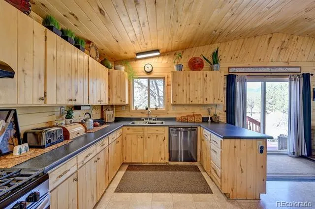 33733 County Road 373a Buena Vista, CO 81211