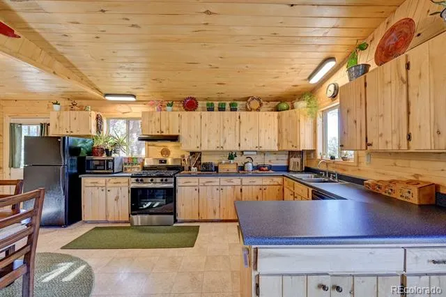33733 County Road 373a Buena Vista, CO 81211