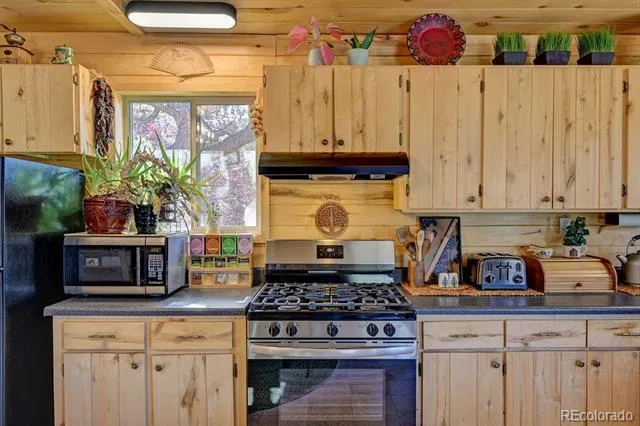 33733 County Road 373a Buena Vista, CO 81211