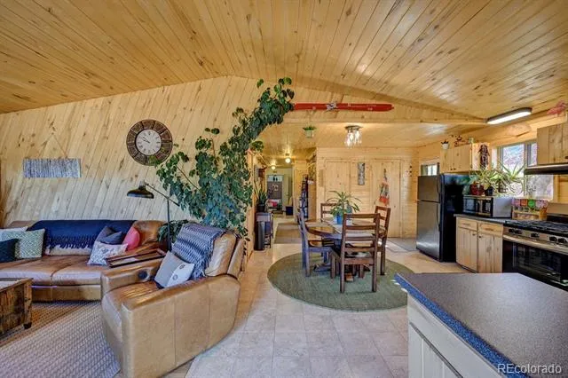 33733 County Road 373a Buena Vista, CO 81211